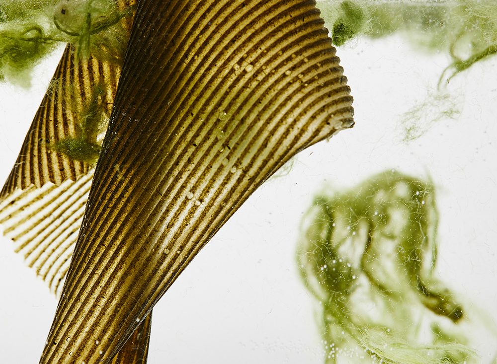 photo credits Malu Lücking