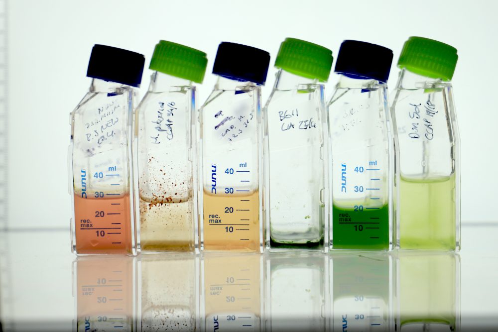 photo credits Malu Lücking